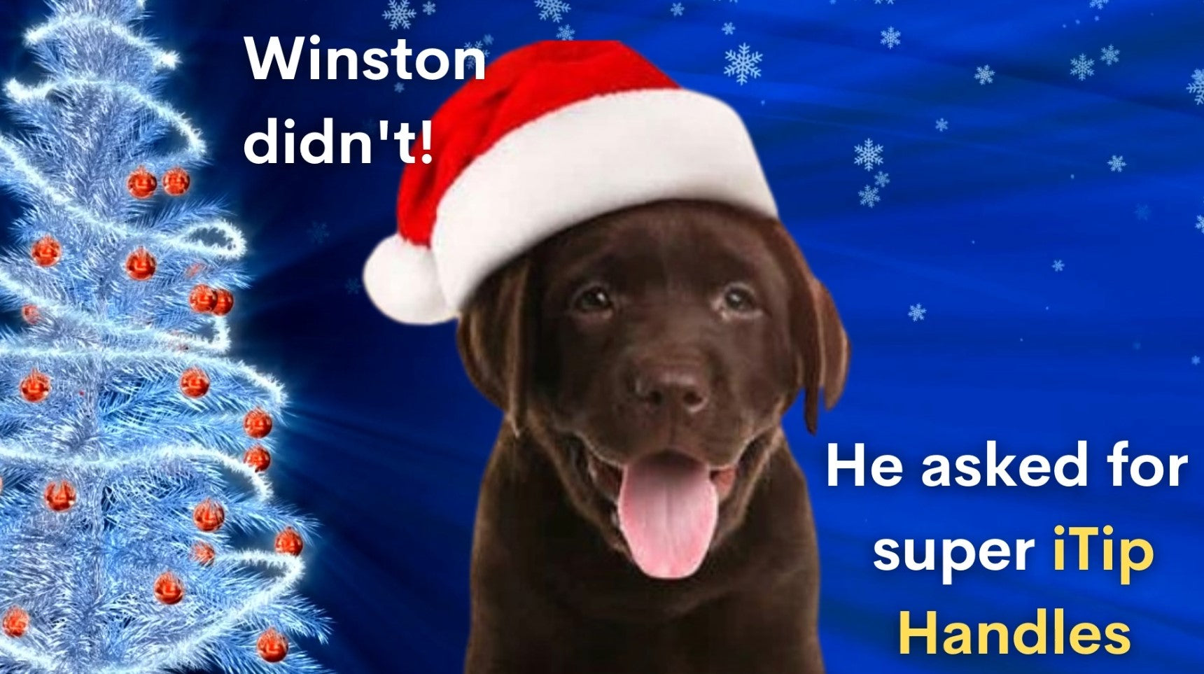 Check out Winston on our new Christmas media!