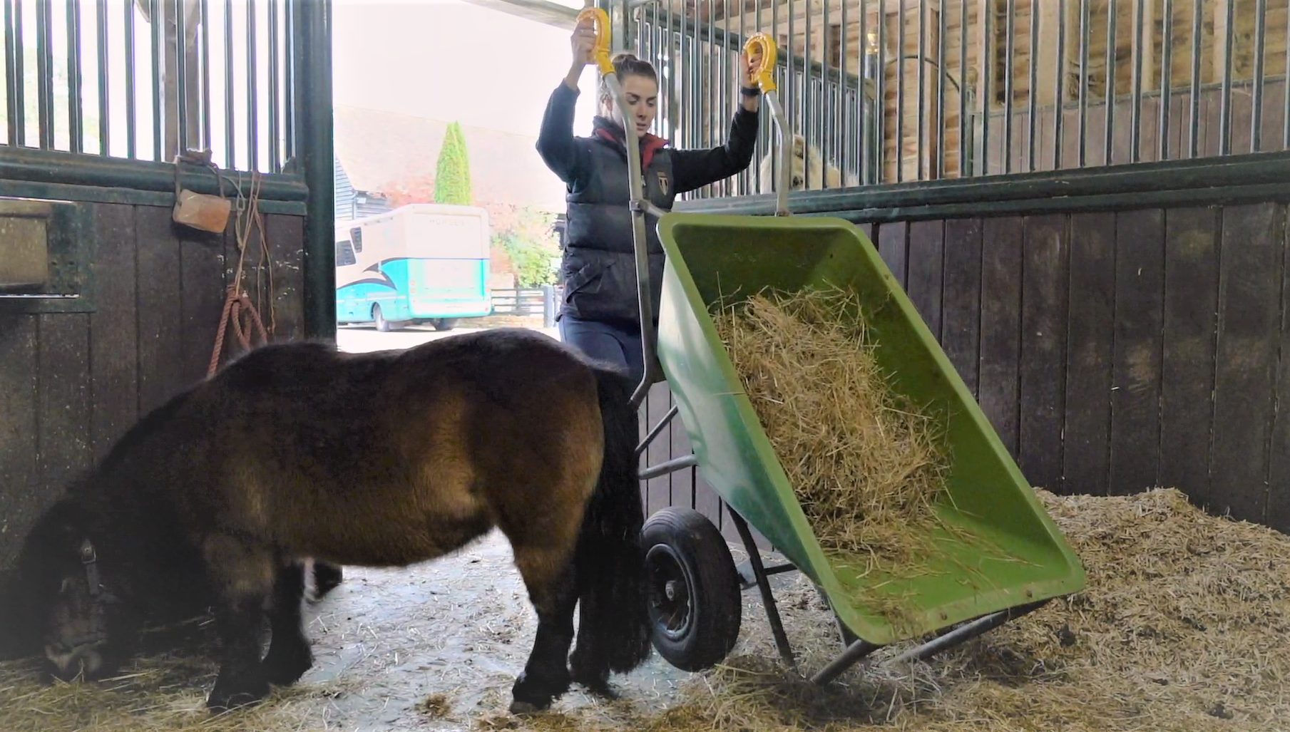 Horse wheelbarrow deals